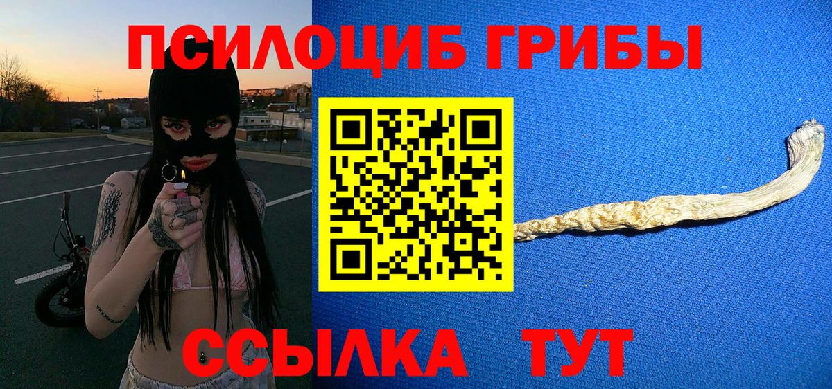 Псилоцибиновые грибы мицелий  Вход с VPN  Белогорск 